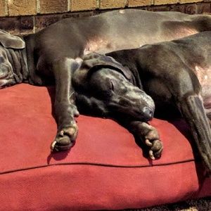 Meet your Posher, Bill