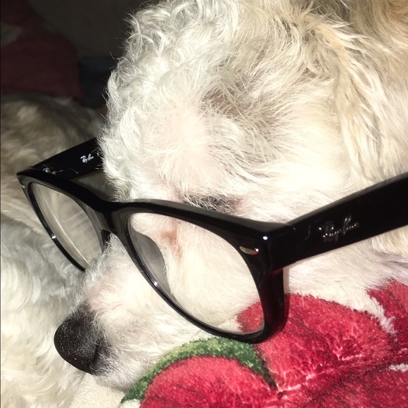 Meet your Posher, Jayce - Picture 2 of 5