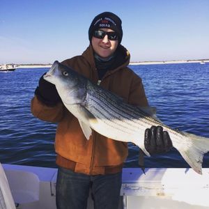 Meet your Posher, Kyle