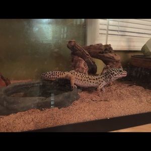 Meet your Posher, Jen