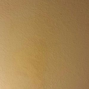 Meet your Posher, Anita