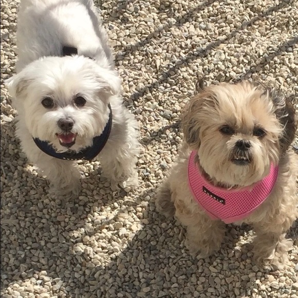 Meet your Posher, Sheila