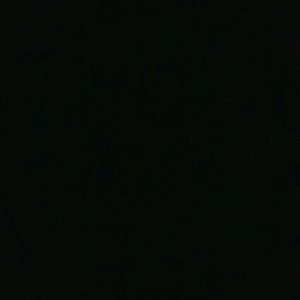 Meet your Posher, Mia