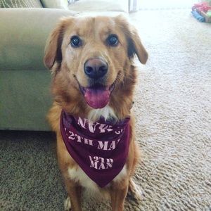 Meet your Posher, Kelly