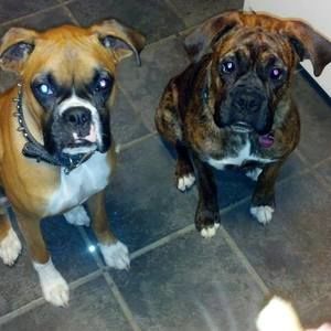 Meet your Posher, Sandra