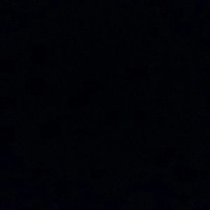 Meet your Posher, Luiz