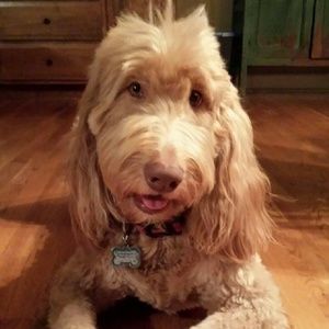 Meet your Posher, Jen