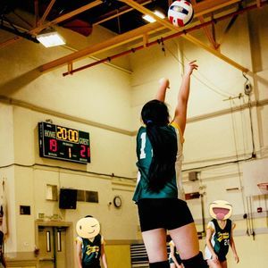 Meet your Posher, Renee