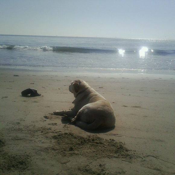 Meet your Posher, Karen