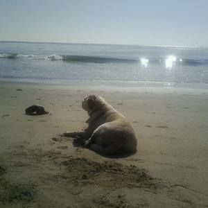 Meet your Posher, Karen