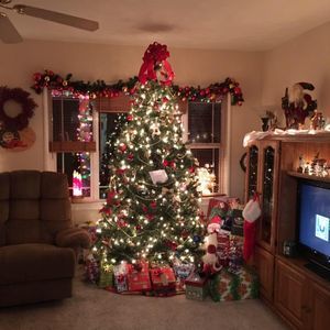 Meet your Posher, Tracey