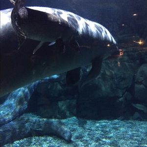 Meet your Posher, Natalie