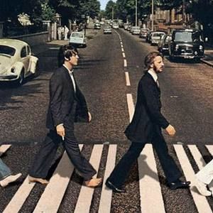 Meet your Posher, Shari