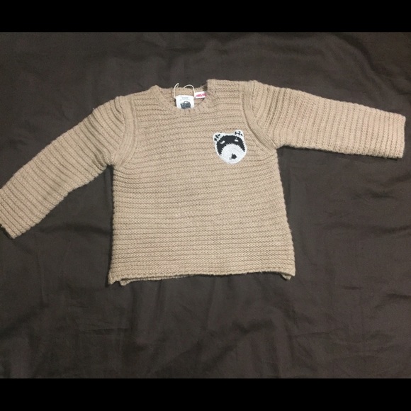 Raccoon sweater