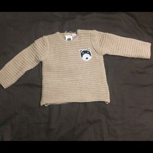 Raccoon sweater