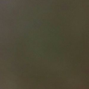 Meet your Posher, Ana