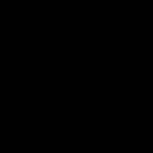 Meet your Posher, Dillan