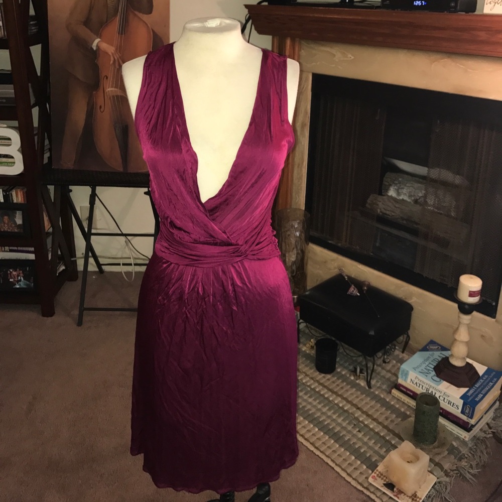 Banana Republic Amethyst  V-Neck