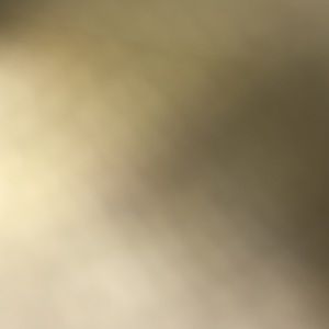 Meet your Posher, Gracie