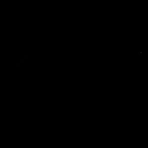 Meet your Posher, Izabel