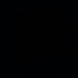 Meet your Posher, Pablo