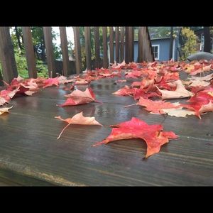 Meet your Posher, Fallon