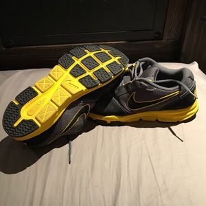Nike air flex trainer