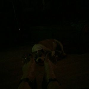 Meet your Posher, Sara