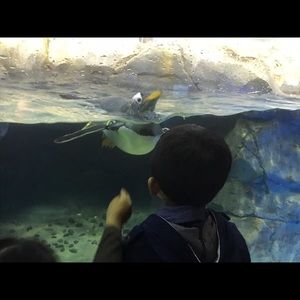 Meet your Posher, Ines