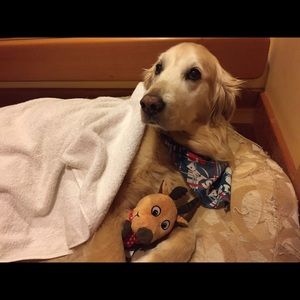 Meet your Posher, Dianne