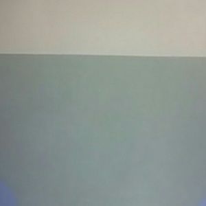 Meet your Posher, Wilbert