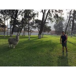 Meet your Posher, Kenny