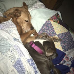 Meet your Posher, Becki