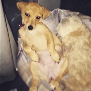 Meet your Posher, Erick