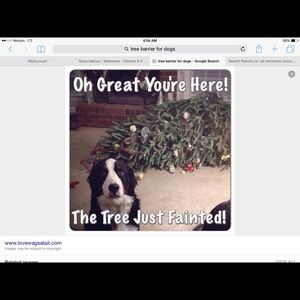 Meet your Posher, Ellen