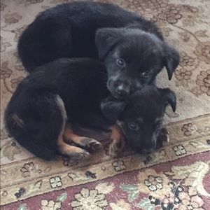 Meet your Posher, Lynn