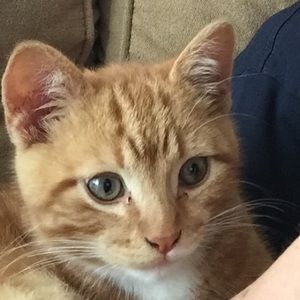 Meet your Posher, Kendra