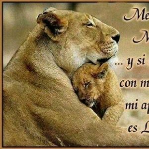 Meet your Posher, Zelma