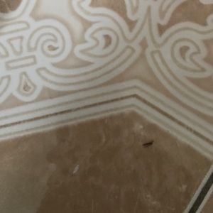 Meet your Posher, Him