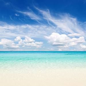 Meet your Posher, Jackson