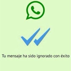 Meet your Posher, Mirna