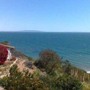 Meet your Posher, Myra