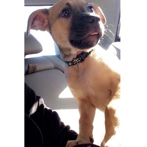 Meet your Posher, Nicole