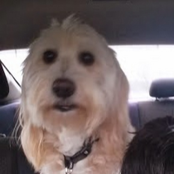 Meet your Posher, Cristina