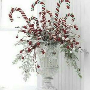 Meet your Posher, Diva