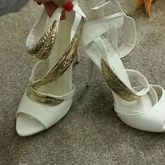 Giuseppe Zanotti