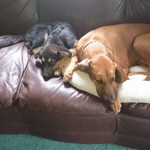 Meet your Posher, Jackie