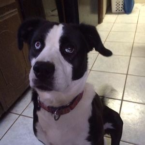 Meet your Posher, Diane