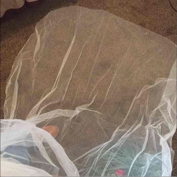 Cathedral veil main image 4