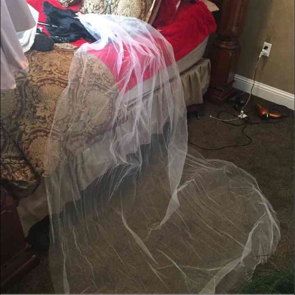 Cathedral veil